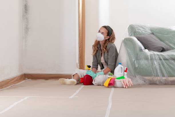 Reliable Attic Mold Removal contractor in Arlington Heights, PA by WQB Mold Removal