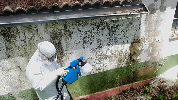 Top rated local Attic Mold Removal specialists in Arlington Heights, PA